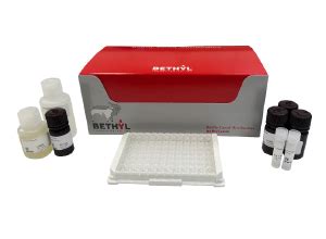 albumin elisa kit bethyl|ab179887.